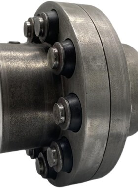 原装德国FLENDER弗兰德弹性柱销联轴器RUPEX500 560 900螺栓垫块