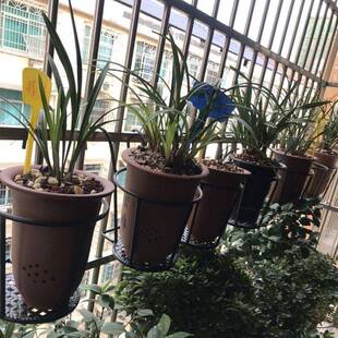 兰花专用花架欧式阳台金属栏杆花盆架挂式护栏绿萝悬挂九尾狐加高