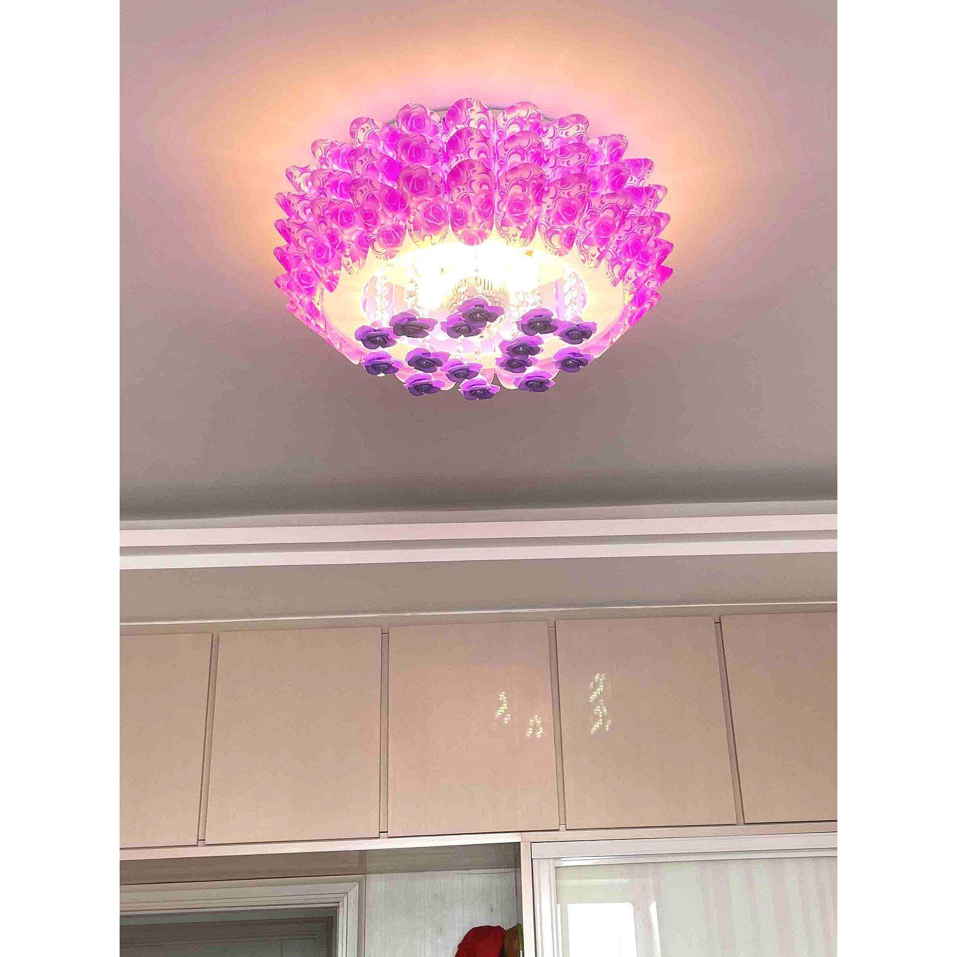 休闲现代温馨浪漫粉红紫罗兰卧室客厅餐厅Led田园水晶吸顶灯,家装灯饰光源,餐厅/卧室/书房吸顶灯,淘宝优惠券,粉丝福利购,淘宝优惠卷