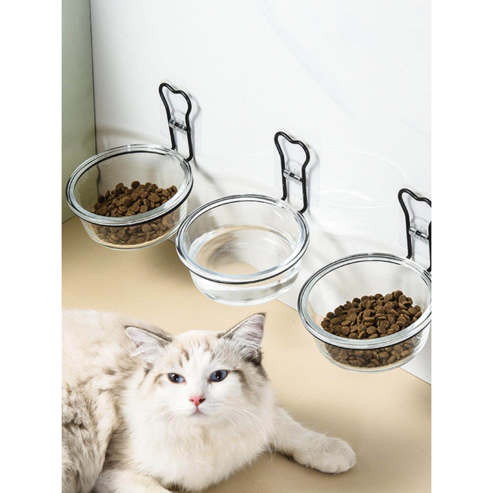 悬挂式猫碗宠物猫咪固定盆饭碗防打翻架碗架玻璃高脚碗食盆喝水碗,宠物/宠物食品及用品,猫狗碗/慢食碗,淘宝优惠券,粉丝福利购,淘宝优惠卷
