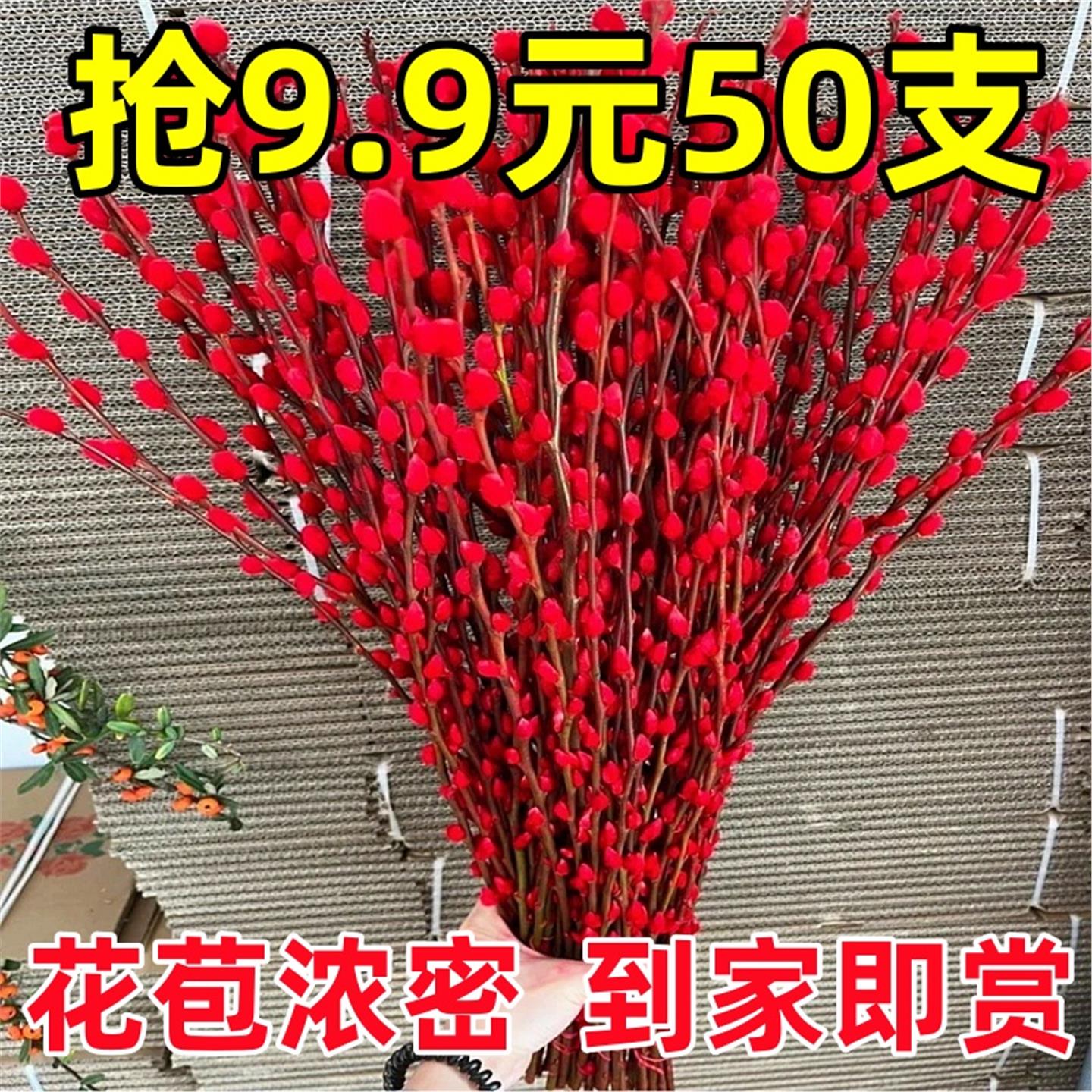 银柳真花鲜枝年宵花卉七多彩大红