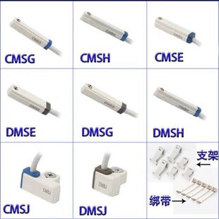CMSJ DMSH DMSG A020 CS1 020 磁性开关CMSG CMSH CMSE