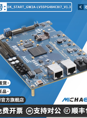 DK_START_GW2A-LV55PG484C8I7_V1.3 GOWIN 可编程逻辑 IC开发工具