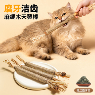 木天蓼磨牙棒猫玩具自嗨解闷耐咬猫薄荷球逗猫棒幼猫磨牙猫咪用品