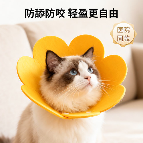 饮食无忧透气亲肤伊丽莎白圈