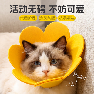 伊丽莎白圈猫咪绝育项圈伊利沙白圈防舔颈圈头套狗狗脖圈宠物用品