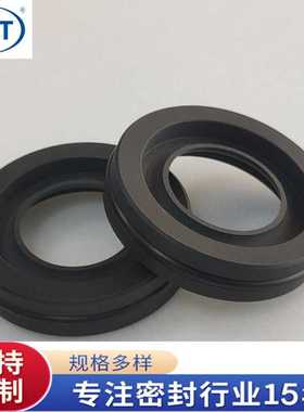 铁氟龙密封圈/高速旋转四氟油封/BTX2 耐高温耐腐蚀耐磨损
