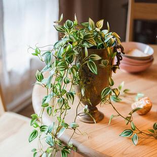 Juhan斯堪的纳维亚新鲜紫露兰花织锦蜘蛛兰花绿色植物人造植物悬
