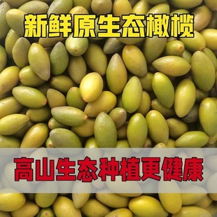 潮汕金灶原味摘金特产橄榄新鲜檀香甘香泡酒青黄化痰煲汤孕妇水果