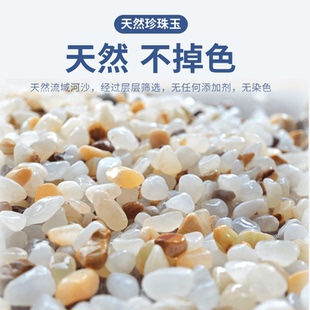 珍珠玉石原生鱼缸底沙造景沙天然玉石水族箱造景装饰雨花石雨林沙