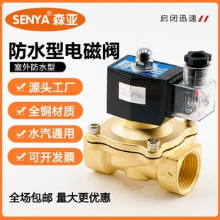 24V 4分室外专用防水电磁阀水阀 1寸220V 气阀 12V 6分防雾电磁阀