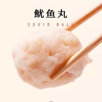 闽南潮汕鱿鱼丸花枝丸鱼肉丸125g