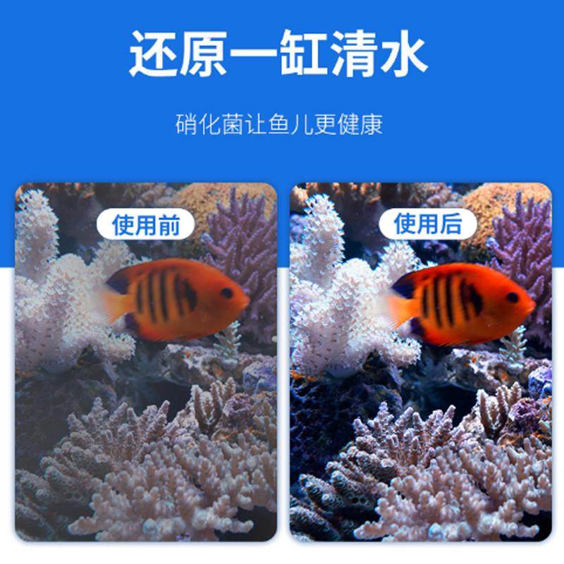 硝化细菌鱼缸专用净水剂水质稳定杀菌水净化水族消化活菌养鱼用品,宠物/宠物食品及用品,鱼缸净水剂,淘宝优惠券,粉丝福利购,淘宝优惠卷
