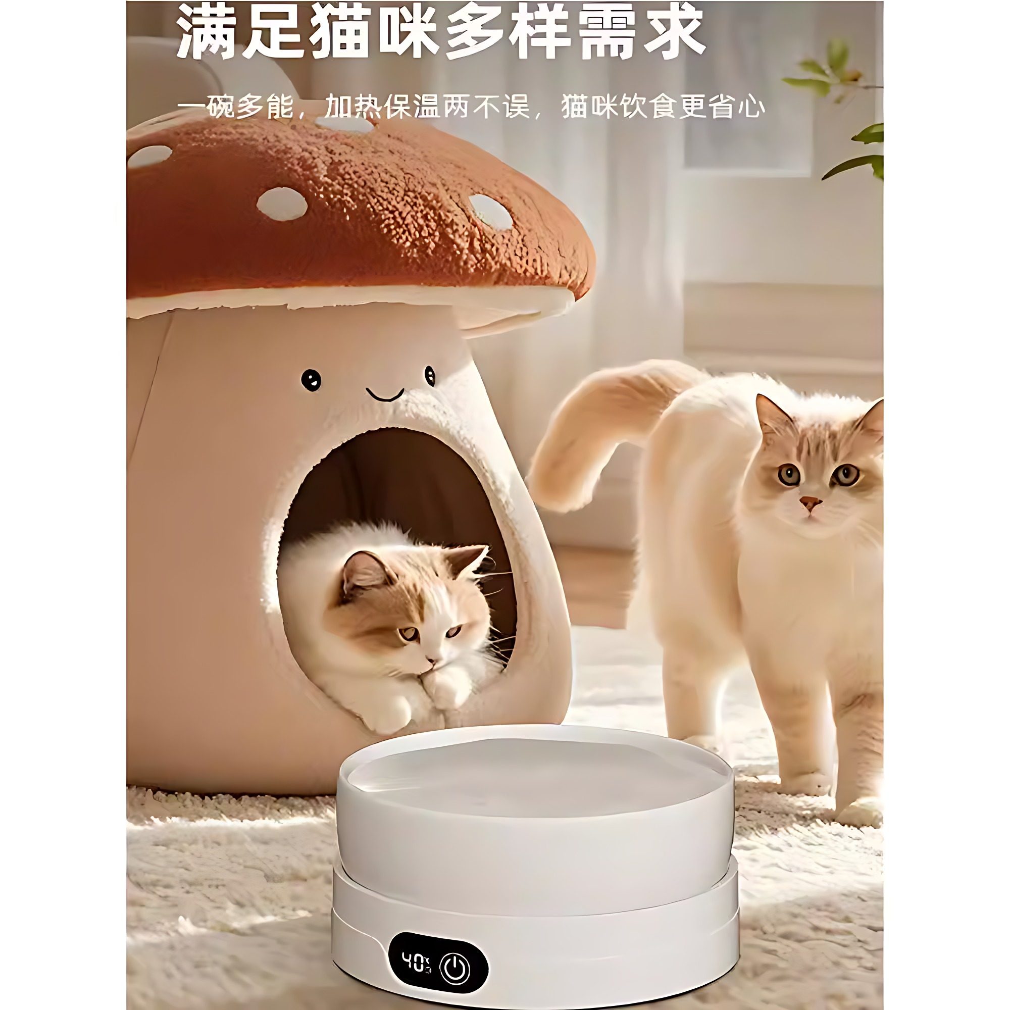 宠物猫咪狗狗恒温饮水机冬季加热喝水碗陶瓷保温智能调温防漏电,宠物/宠物食品及用品,饮水器/水壶/水头,淘宝优惠券,粉丝福利购,淘宝优惠卷