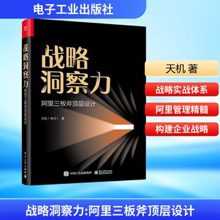 战略洞察力9787121426445电子工业出版社天机 著