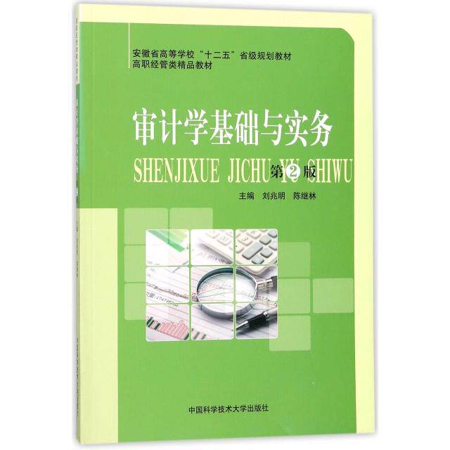 审计学基础与实务9787312039256中国科大刘兆明//陈继林图片