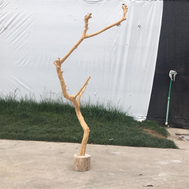 优选干树枝原木去皮衣架灯棍造型摆设创意家居摆件橱窗装饰摆件枯