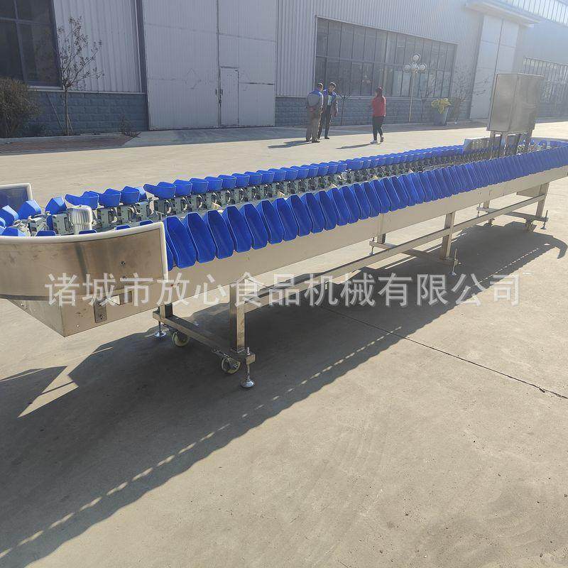 黄花鱼重量分选机 海鲜水果不锈钢重量分选机 鸡腿分选机,五金/工具,其他包装设备,淘宝优惠券,粉丝福利购,淘宝优惠卷