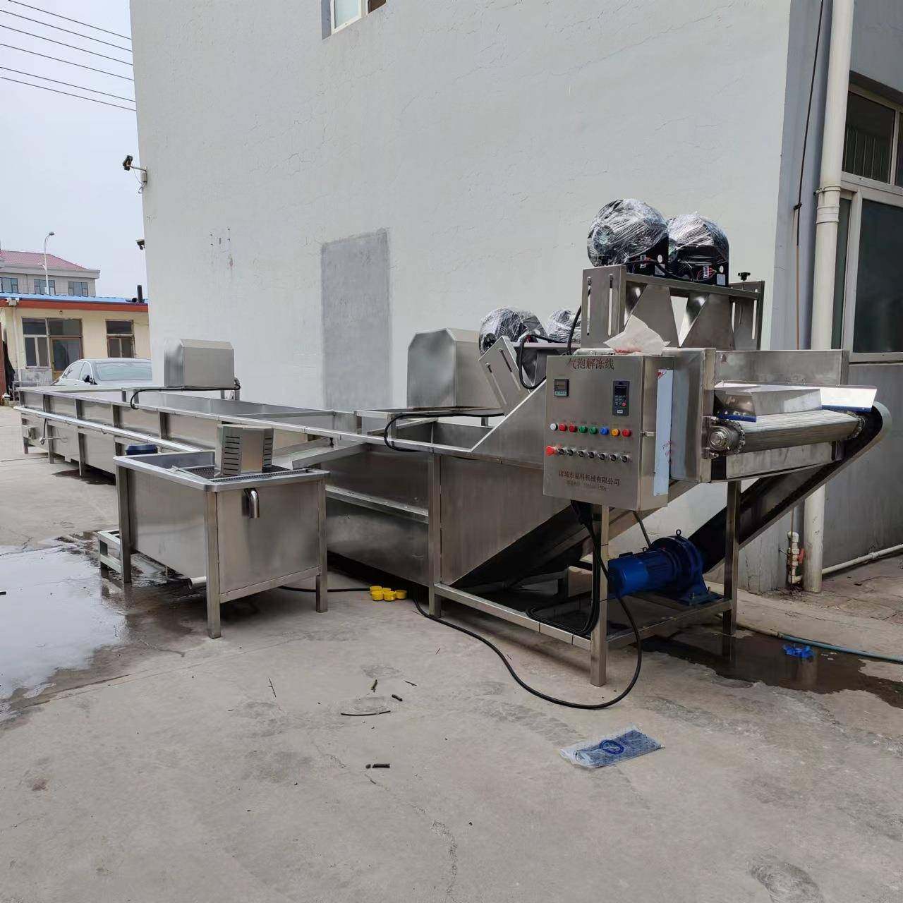 冻鸡爪冻鸡胸肉解冻设备 全自动带鱼解冻流水线 冷冻肉类解冻机,厨房电器,商用冰淇淋/甜筒/雪糕机,淘宝优惠券,粉丝福利购,淘宝优惠卷