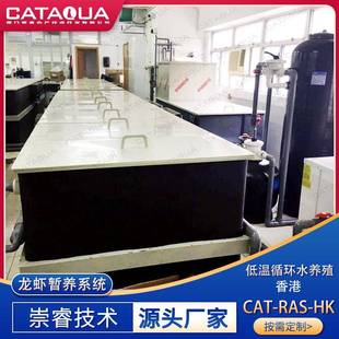 CATAQUA香港龙虾低温暂养循环水养殖系统水产养殖循环水养殖设备
