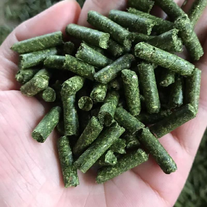 210型家用粮食玉米饲料颗粒机鸡饲料造粒机秸秆饲料造粒机