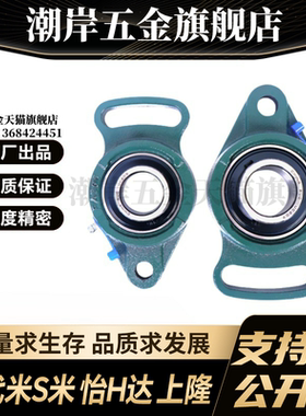 E-BDB09-201/202/203/204/205/206/207/208/209/210 铸造带座轴承