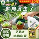 护花神免稀释直喷剂花卉多肉生石花仙人球盆栽杀虫剂白粉虱介壳虫
