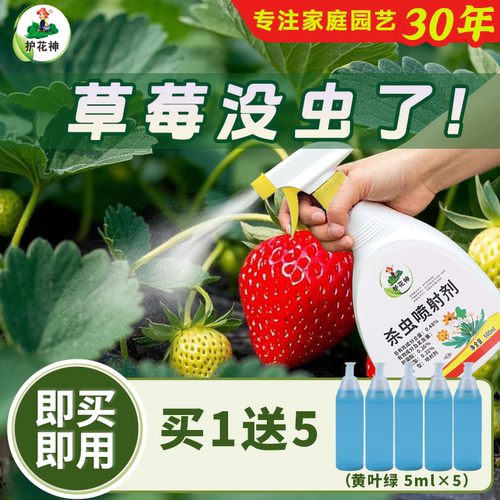 护花神免稀释直喷草莓杀虫剂除虫专用打虫药苗驱虫蚜虫病虫介壳虫