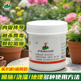 护花神小白药杀虫1号花卉植物盆栽杀虫剂黑色小虫红蜘蛛介壳蚂蚁