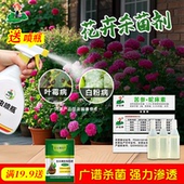 苦参蛇床素多肉月季 黄叶白粉农药炭疽病灰霉病霜霉病杀菌剂