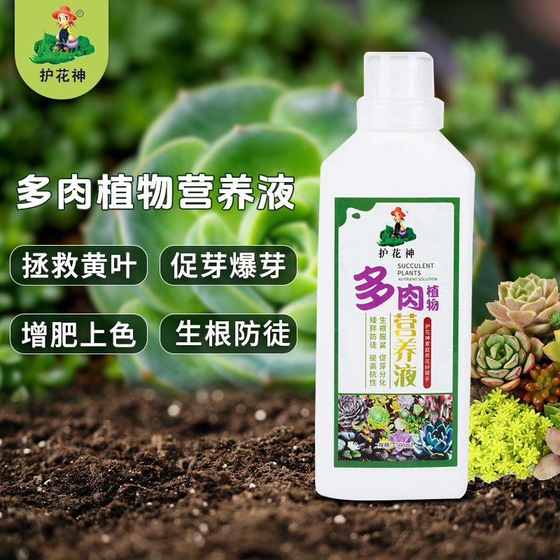 营养液护花神多肉专用型