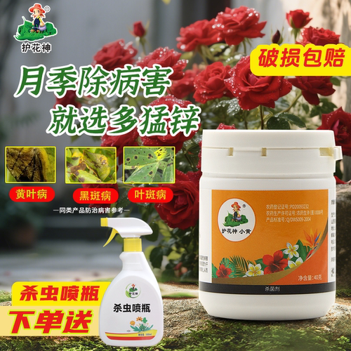 护花神多锰锌杀菌剂多菌灵花药月季玫瑰植物多肉白粉病花卉斑点病