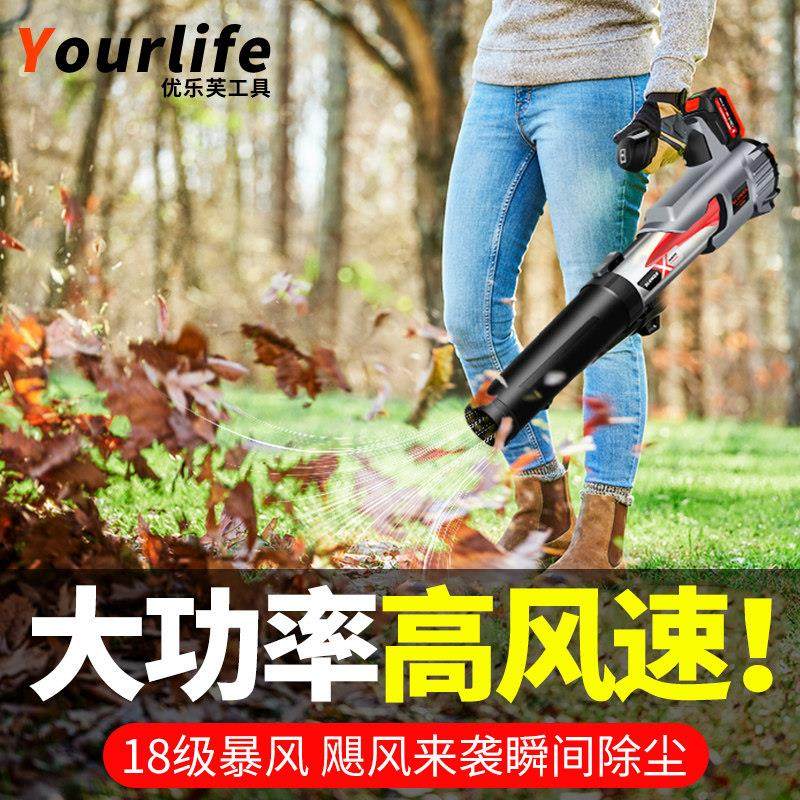 锂电吹吸机鼓风机充电工业电脑除尘器电动吹灰机家用大功率吹风机,五金/工具,施工除尘器,淘宝优惠券,粉丝福利购,淘宝优惠卷