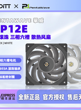 PentaWave 攀威 LP12E 12CM双滚珠3000转机箱散热风扇 温控调速