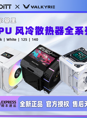 瓦尔基里CQ DQ AL SL DL EL ML AQ125 DX140风冷散热器 R125L