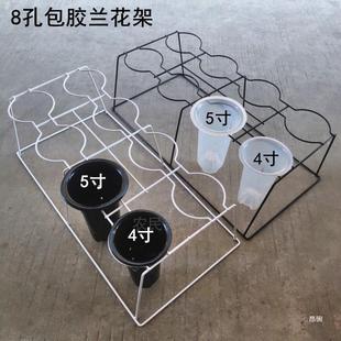 包邮 8孔兰花花架 兰花架子兰草盆架固定花盆支架落地式铁艺兰架