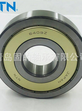 日本恩梯恩轴承 6309ZZCM/5K 开放式16009CM 内圈尺寸45mm 型号全