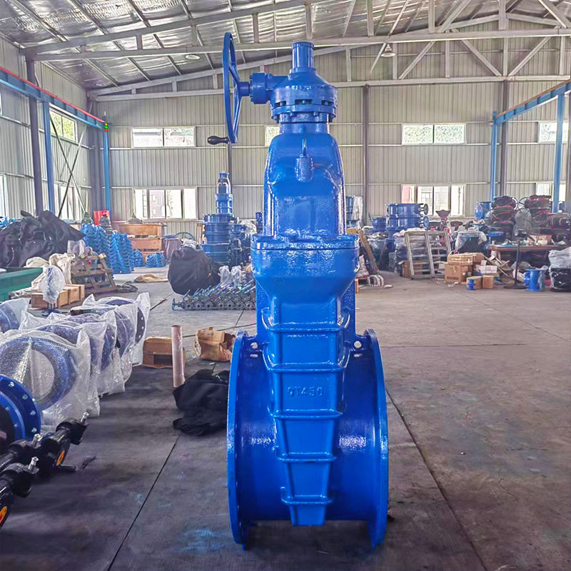 软密封伞尺轮闸阀 大规格闸阀 法兰球墨铸铁闸阀 河北Z45X-16Q,模玩/动漫/周边/娃圈三坑/桌游,文化/体育周边,淘宝优惠券,粉丝福利购,淘宝优惠卷