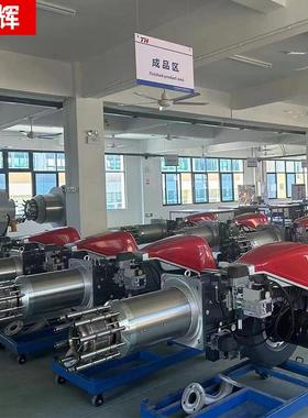 河北一体式超低氮燃烧器 DS410/E FGR道森锅炉喷涂设备广东热风炉