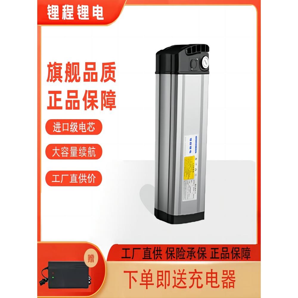 折叠电动车大容量通用电瓶48V6-20A代驾外卖车专用手提银鱼锂电池