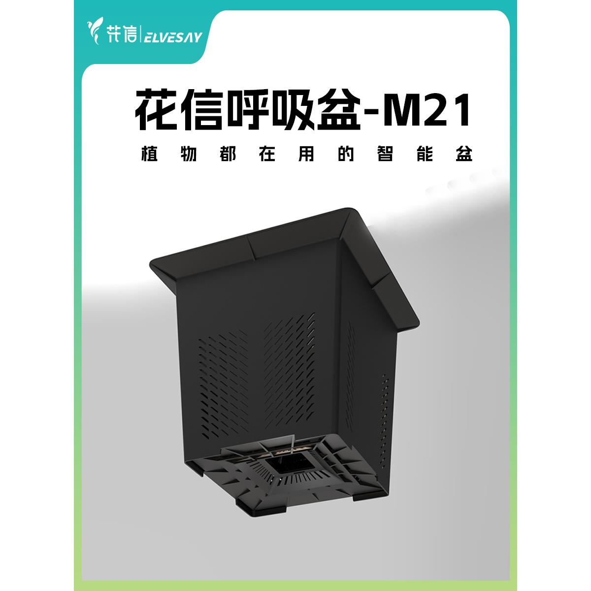 花信呼吸盆M21龙舌兰块根热植花烛蔓绿绒月季透气阳台植物通用