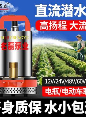 直流潜水泵12v24v48v60v72v电瓶电动车专用抽水泵浇菜农用灌溉机