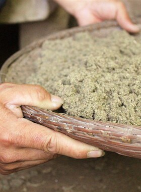 蕲春古艾 纯手h工古法制作石臼蕲艾绒250g /可做艾条/肚兜/艾绒垫