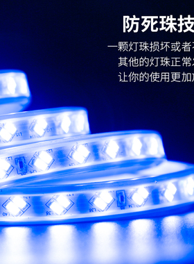LED蓝光灯带条220V蓝色灯条超A高亮天花吊顶KTV招牌灯箱装饰长条