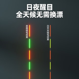 宽目细硬尾远投路滑钓鲫大吃y铅湖库大物电子夜光漂青草鲢鳙变色