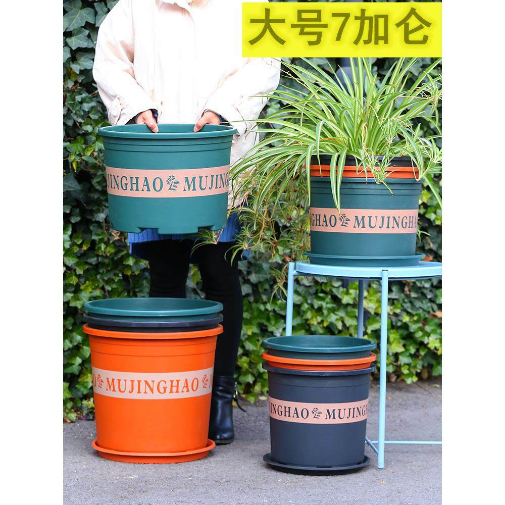 7加仑加厚加仑盆特大号塑料盆种树大型落地绿植盆栽月季果树花盆