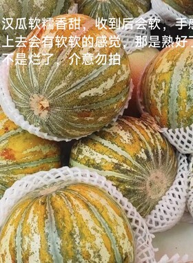 （航空发货）新疆老汉瓜冰激凌瓜只能坐飞机出疆的瓜没牙也可以吃