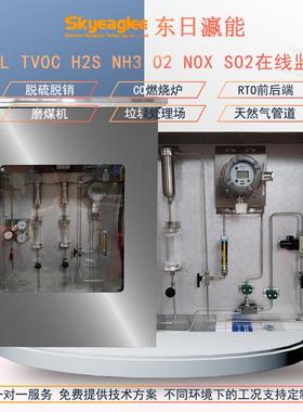 RTO防爆可燃气体预处理在线监测系统TVOC有机挥发物LEL浓度检测仪