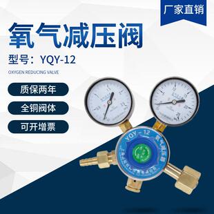 氧气氮气二氧化碳氢气氦气氩乙炔减压器气体钢瓶调压阀压力表上海