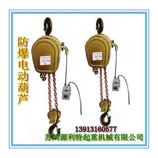 DHS防爆环链电动葫芦5T 3米6米9M12米上海葫芦防爆电动葫芦
